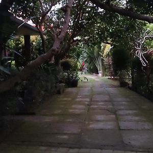One-Bedroom Bungalow